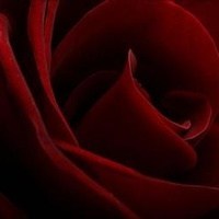 Obituary of Ruby Elizabeth Daniel