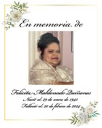 Felicita Maldonado Quiñones