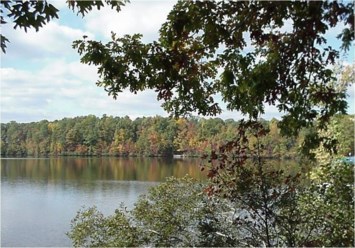 Obituary of Thelma Mae Bateman