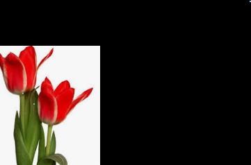 Obituary of Jimminy J Flores