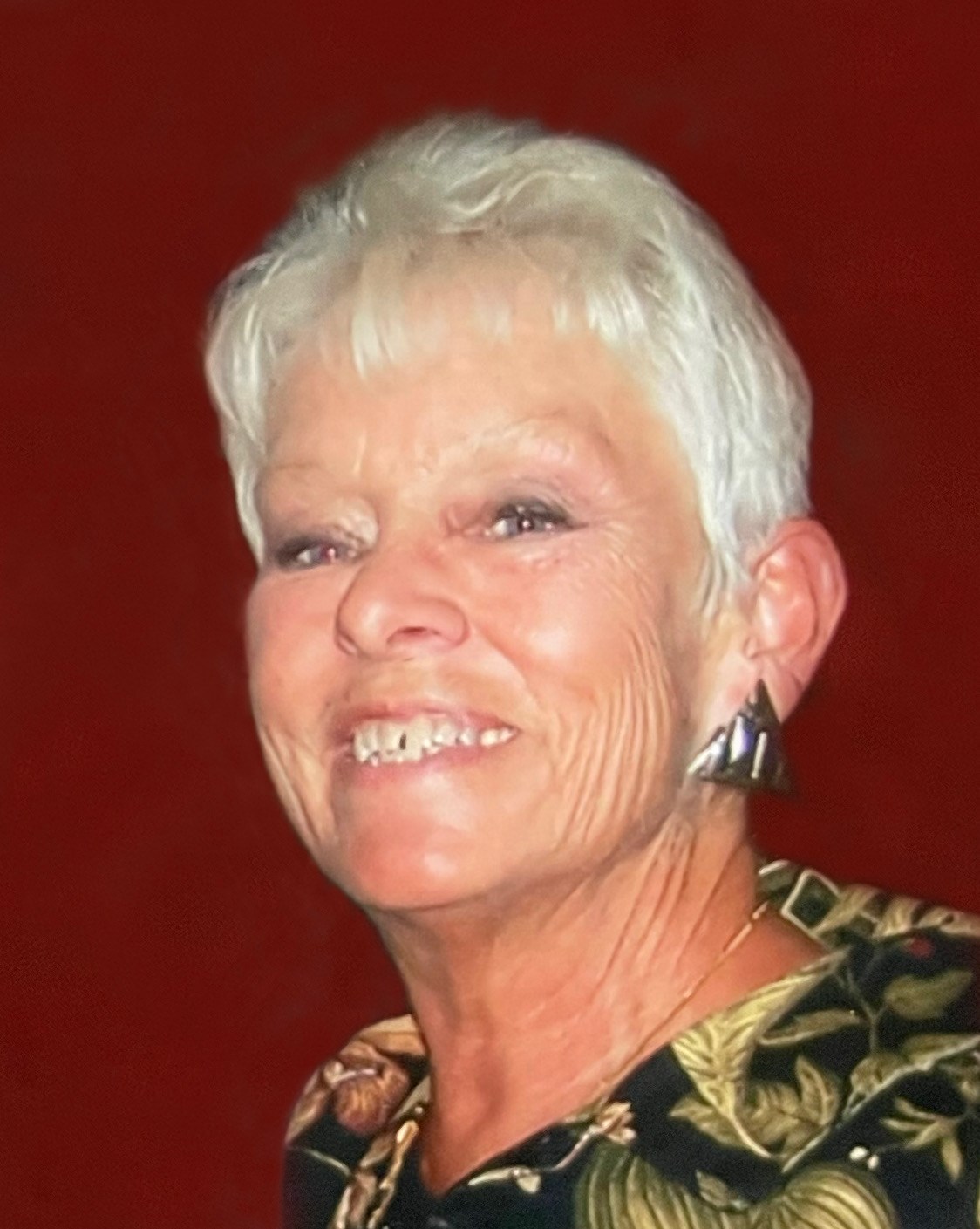 Ann Alchin Obituary Williamston, MI