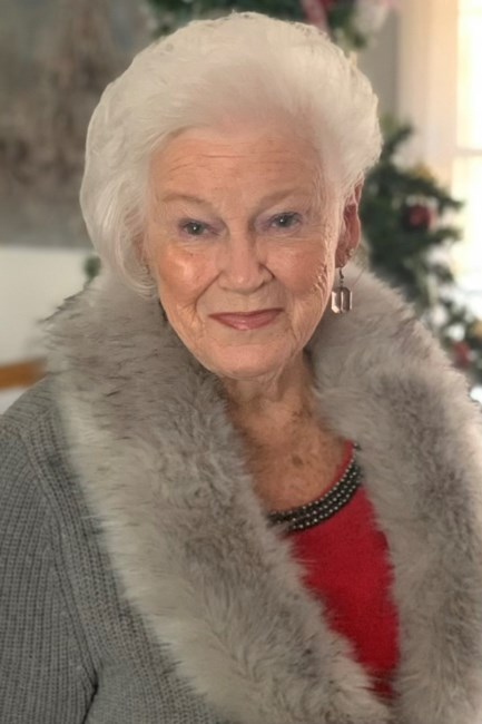 Obituary of Joan Ann Lippy