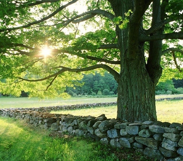 Obituary of Jeffrey Richardson