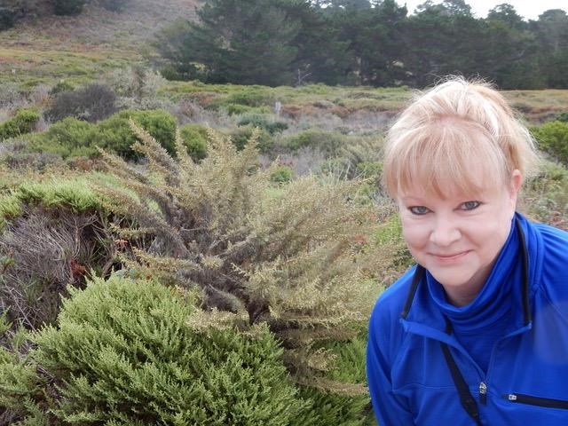 Obituary of Angela Carol McAllister