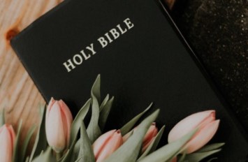 Obituary of Ann Darlene Selby