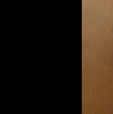 Janette Laired Obituary - Houston, TX