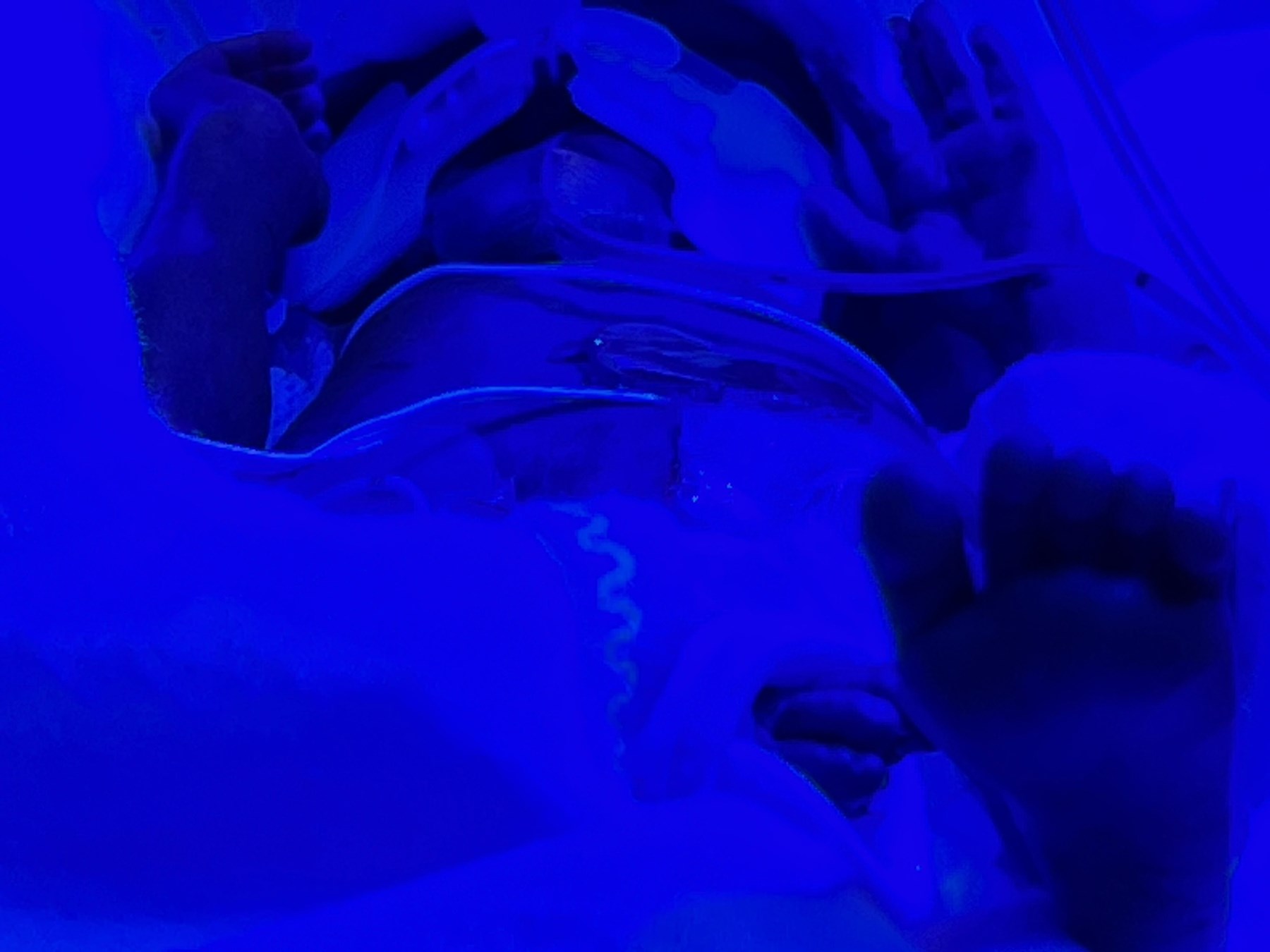 Obituary of Cash Michael Bryson