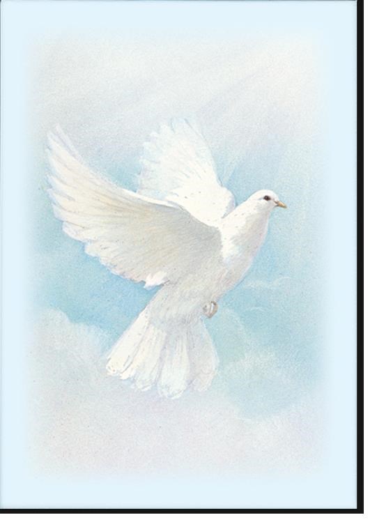 Obituario de Imelda Rodriguez Garcia