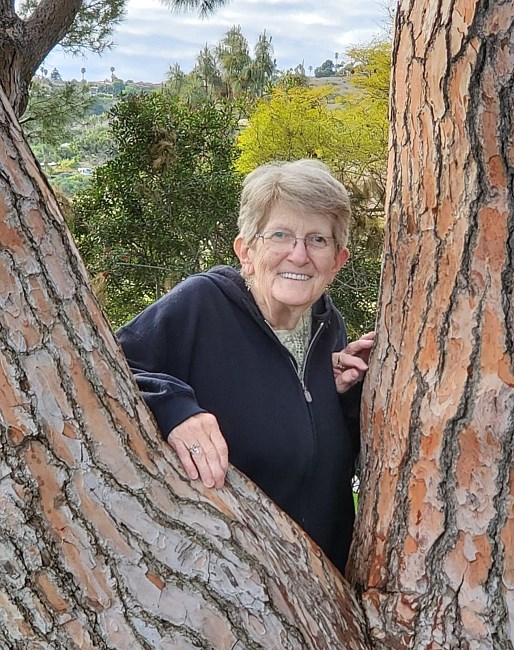 Obituary of Sandra L. Hayes