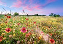 Obituary of Pamela Sue Fletcher