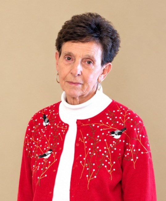 Obituary of Phyllis Ann (Orbison) Honeycutt