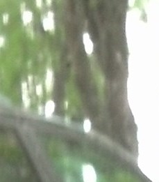 Ronald Parker Obituary Hamilton, OH