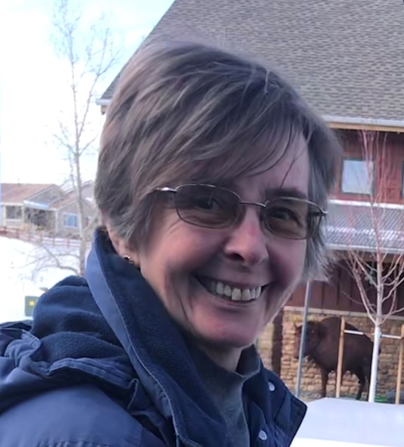 Obituary of Johanna Carlson Santucci