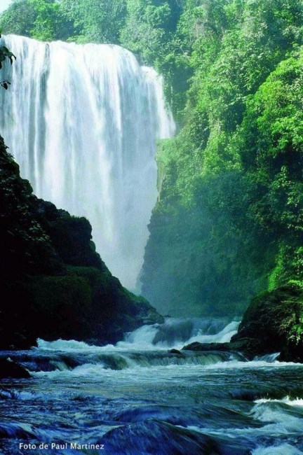 Avis de décès de Carole Ann Crateau