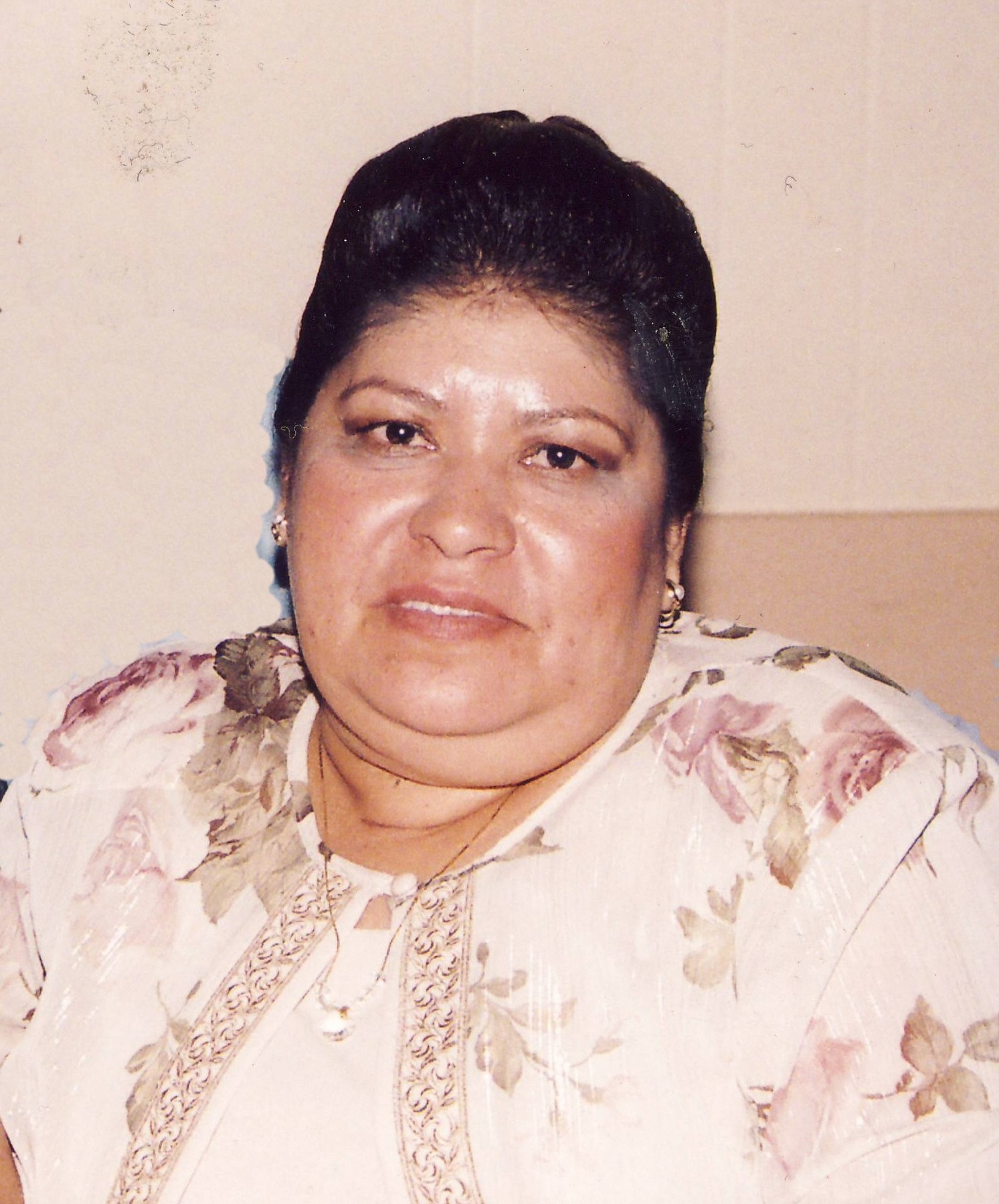 Rosa Maria Rojas Obituary - Houston, TX