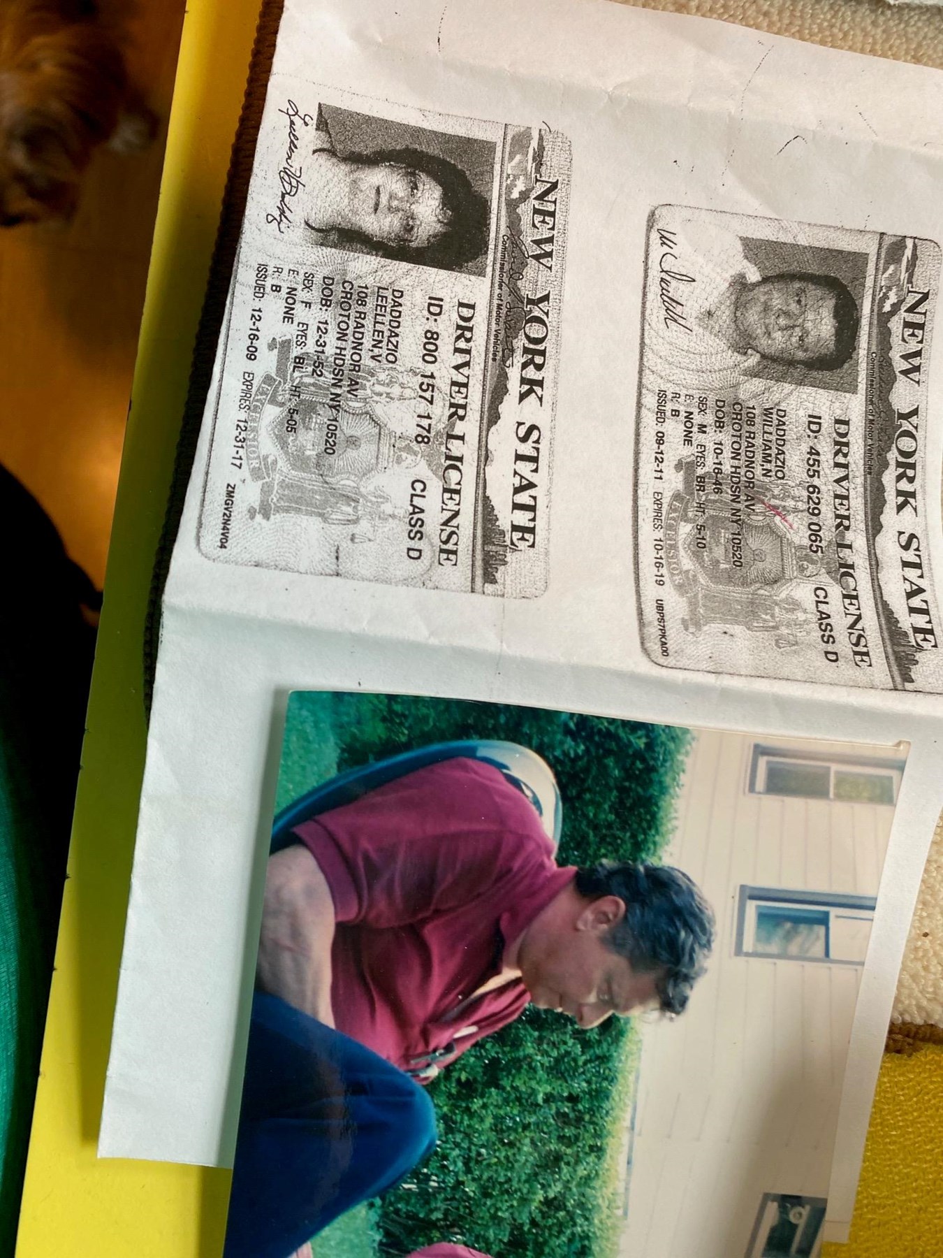 Avis de décès de William Nicholas Daddazio Sr.