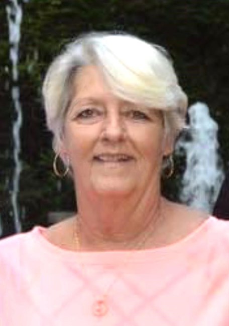 Obituary of Virginia "Ginny" Ann Clark