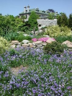 Obituary of Mary Elizabeth Shea Morgan