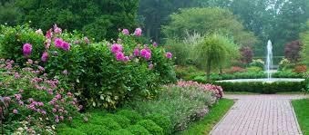 Obituary of Bonnie Powell