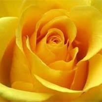 Obituary of Ann Hymrod Vick