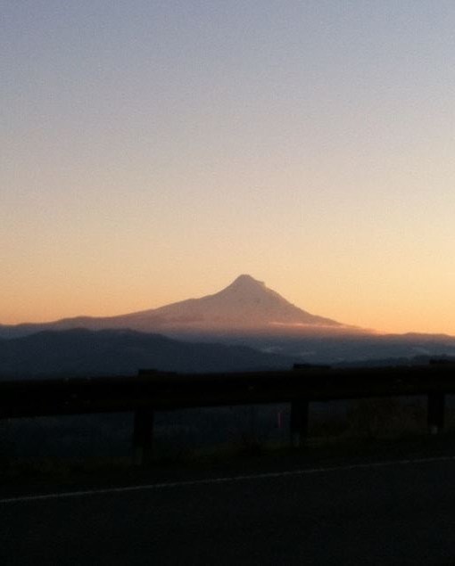 Obituary of Mark Lange