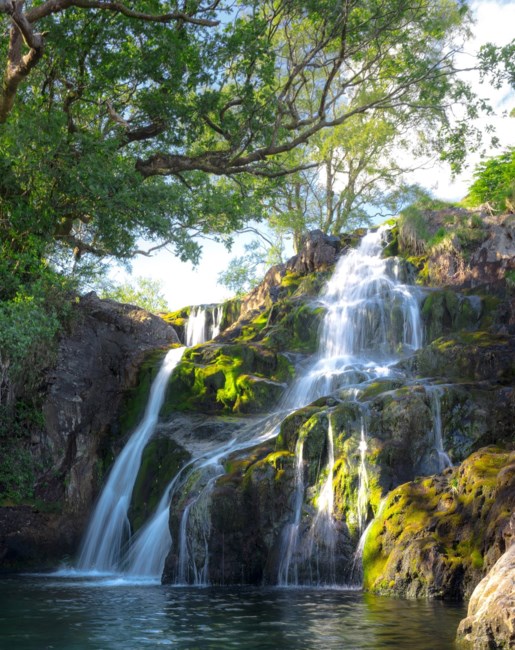 Obituary of Eung Chul Lee