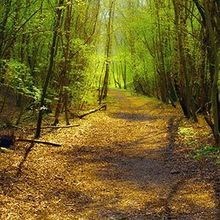 Obituary of Matthew T. Griffin