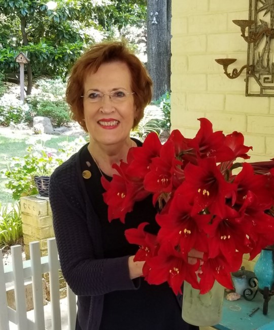 Obituary of Jerelyn Anne Chapman