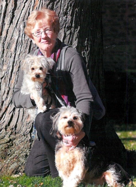 Obituary of Diane Arlene Jennings