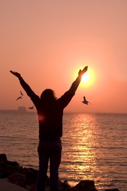 Obituary of Roger Jeffrey Higgins