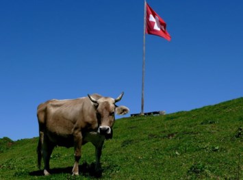 Obituary of Frank Joseph Bueler