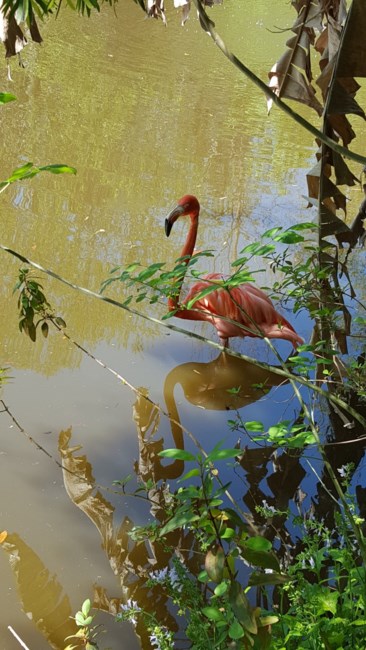 Obituary of James R Barr