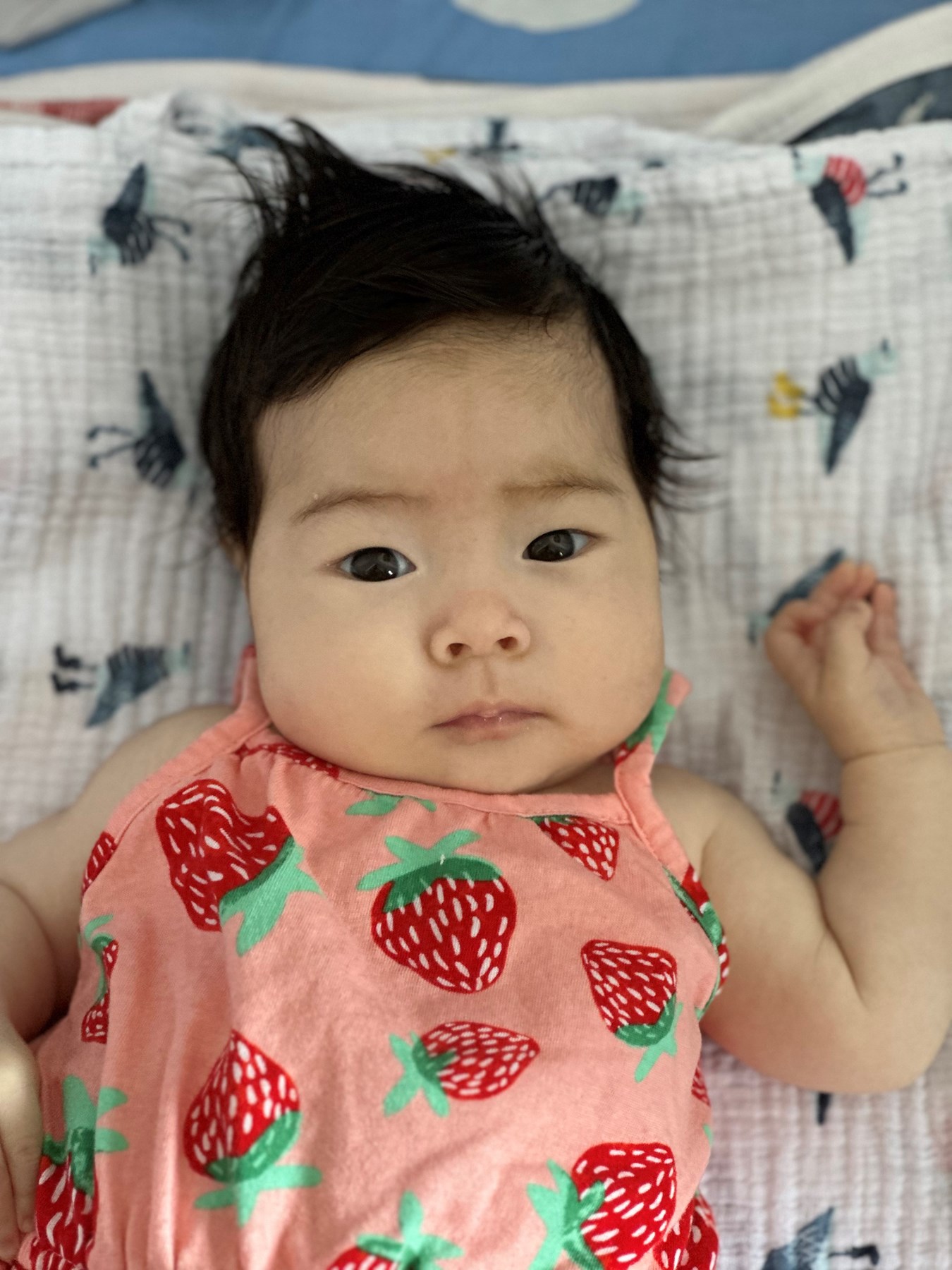 Obituary of Amelia Jamie Anne Cheung