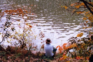 Obituario de Andy Davis