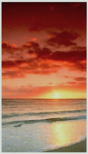 Obituary of Roy F Potter