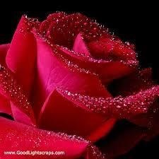 Obituary of Marie Ann Juliano