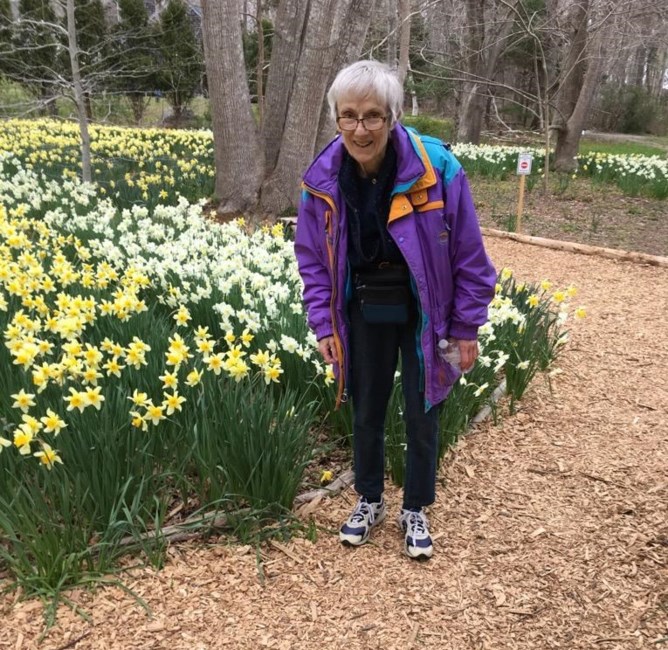 Obituary of Noel C. Tripp