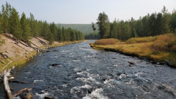 Avis de décès de Archie Thomas Edwards