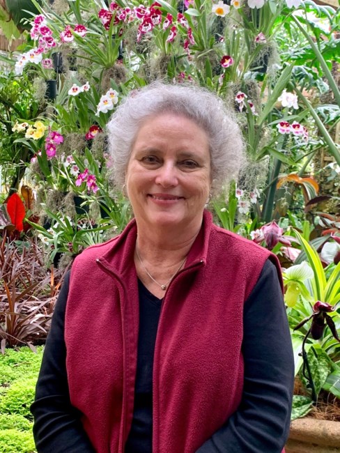 Obituary of Rebecca Jane Sanders