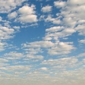 Obituary of Maureen McCabe Brown