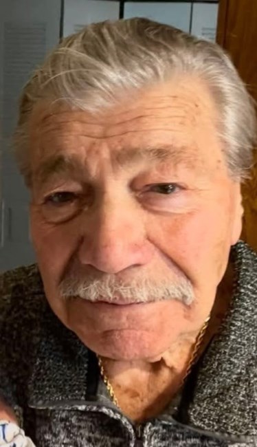 Obituary of Domenick Orlando