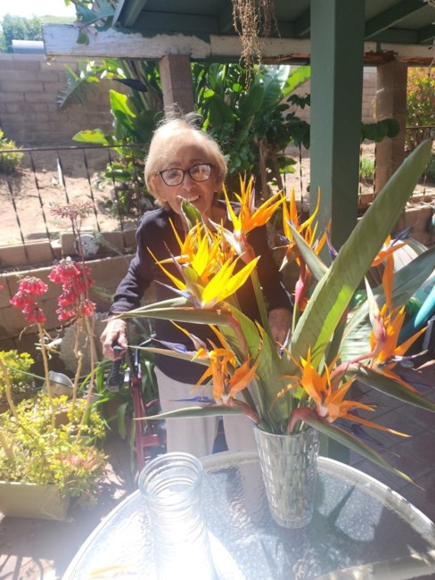 Obituary of Mary B Herrera