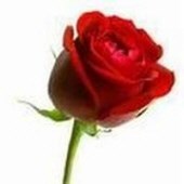 Obituary of Lois E. Griffin