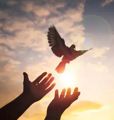 Obituary of Gary Michael Ball