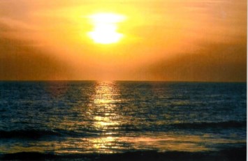 Obituary of Max Bayer