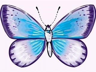 Obituary of Amanda Adams