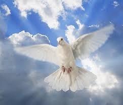 Obituary of Dylan Ferdell Biddle II