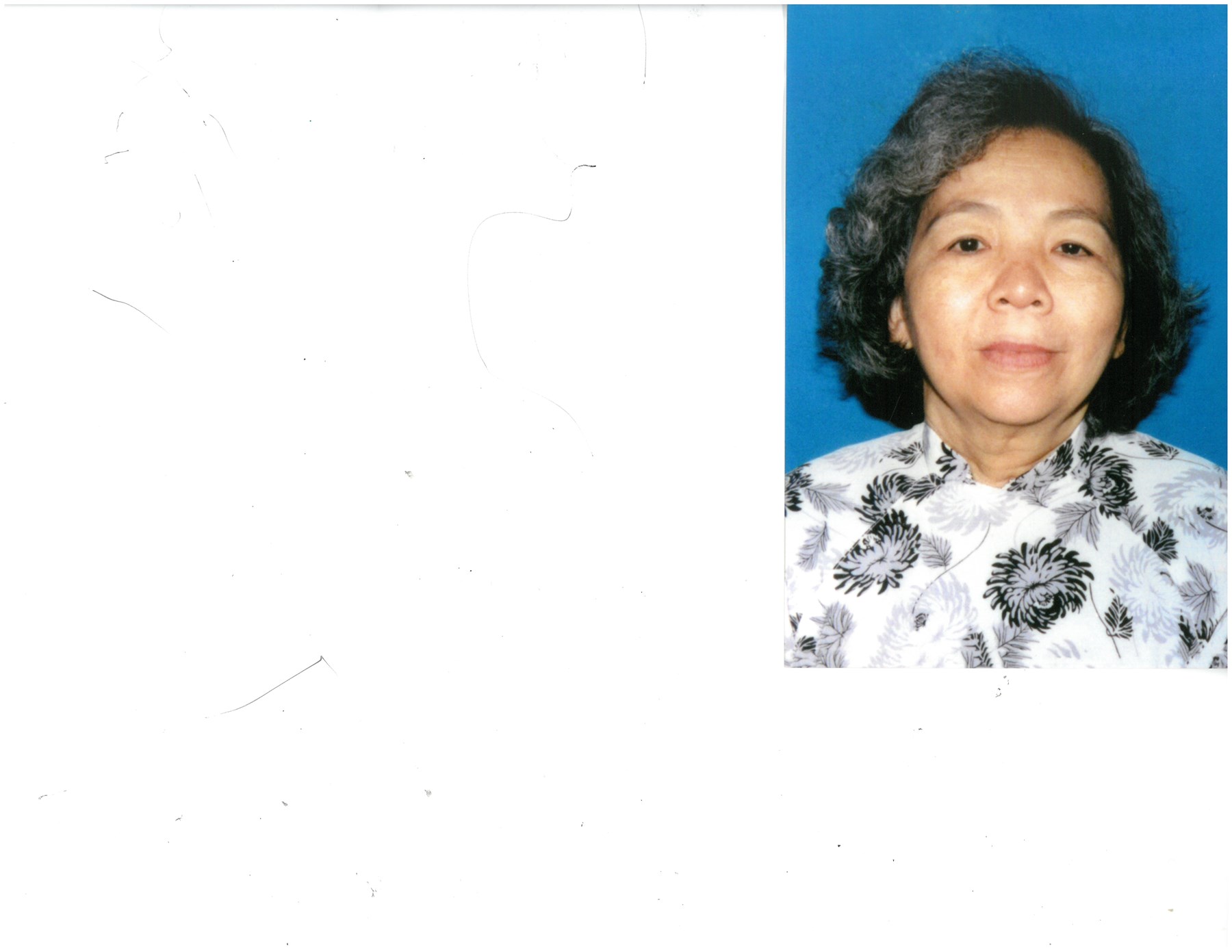 Obituary of Hoa Quynh Nguyen