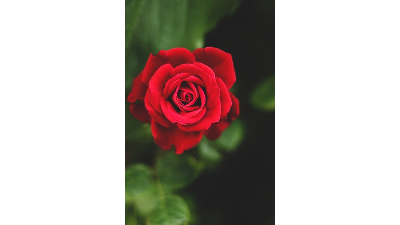 Obituary of John Keith White