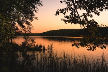 Obituary of Brian Janz